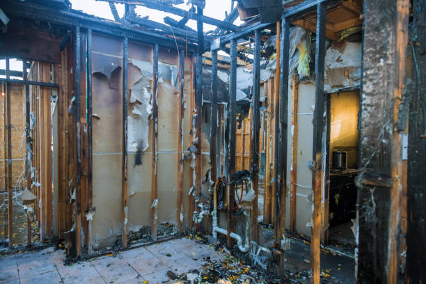 Professional Fire Damage Removal technician working in Cypress, TX